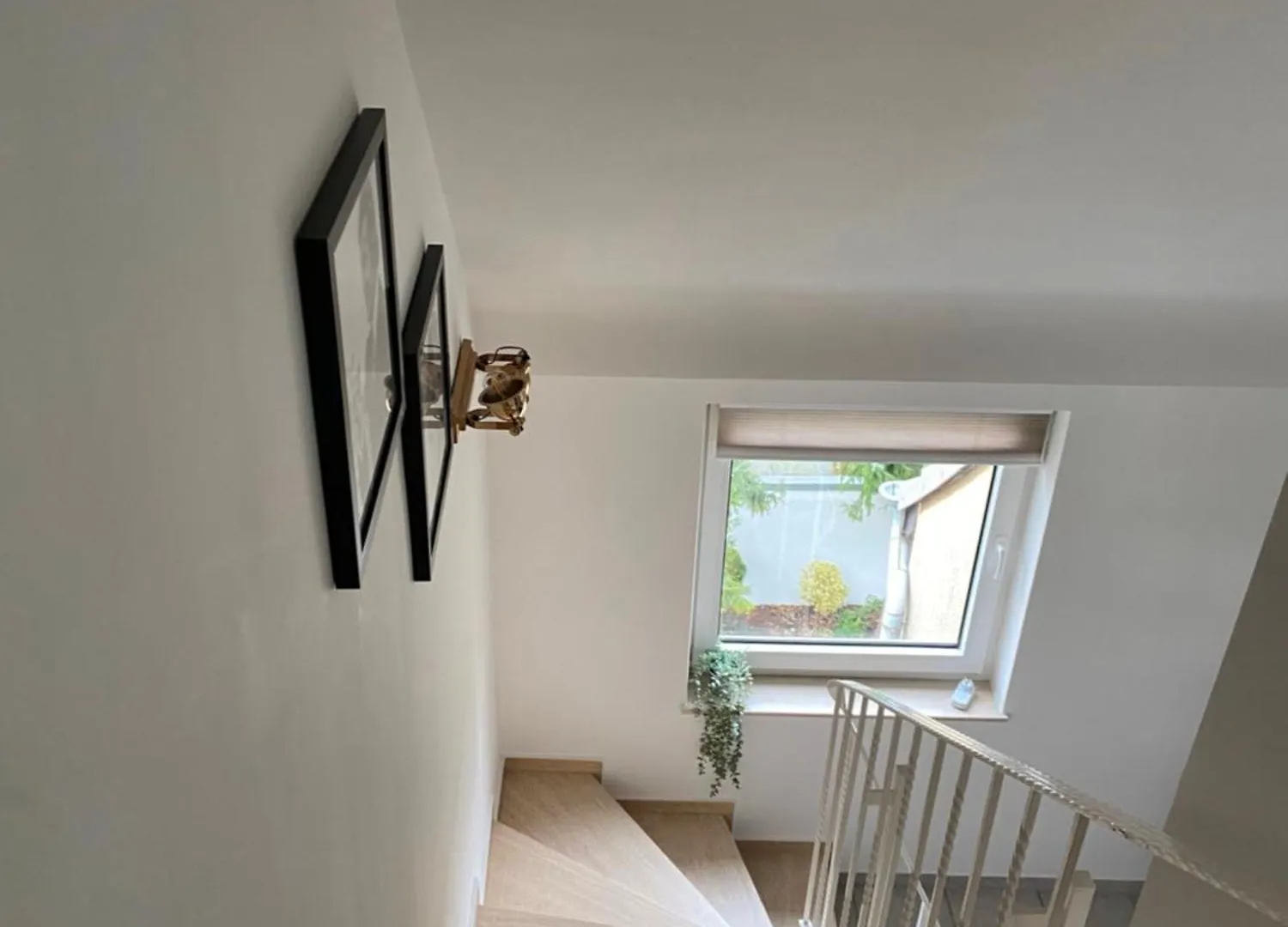 Aparthotel Rheinblick Apartments Colonia